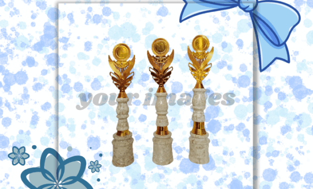 Jual berbagai macam piala dan trophy murah di Aceh Barat, menampilkan pilihan piala marmer, plastik, dan akrilik dari distributor resmi.